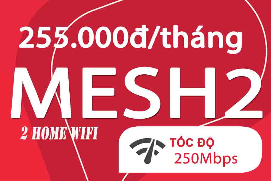 goi_mesh2